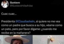 Padre buscador pide ser escuchado, Sheinbaum prefirió al ‘Pato Merlín’