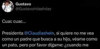 Padre buscador pide ser escuchado, Sheinbaum prefirió al ‘Pato Merlín’