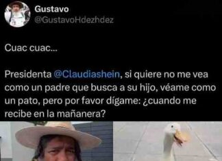 Padre buscador pide ser escuchado, Sheinbaum prefirió al ‘Pato Merlín’
