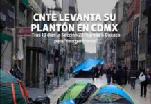 ¿Soborno? 800 mdp para la S-22 de la CNTE en Oaxaca
