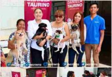 Más de 200 mascotas recibieron vacuna antirrábica gratis