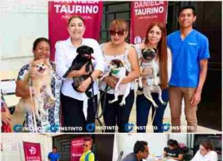 Más de 200 mascotas recibieron vacuna antirrábica gratis