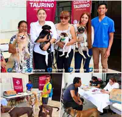 Más de 200 mascotas recibieron vacuna antirrábica gratis