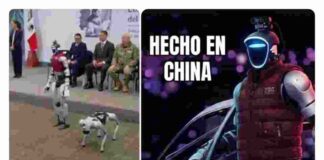 Presentación de robots para seguridad en Edomex desata dudas sobre su impacto real