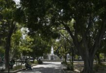 ¿BARRAS SÍ, PERO SOBRE CAUCHO? EL LLANO PODRÍA PERDER TIERRA VIVA POR UNA OBRA QUE YA GENERA DUDAS