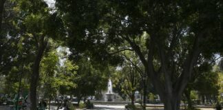 ¿BARRAS SÍ, PERO SOBRE CAUCHO? EL LLANO PODRÍA PERDER TIERRA VIVA POR UNA OBRA QUE YA GENERA DUDAS