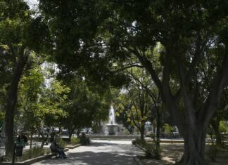 ¿BARRAS SÍ, PERO SOBRE CAUCHO? EL LLANO PODRÍA PERDER TIERRA VIVA POR UNA OBRA QUE YA GENERA DUDAS