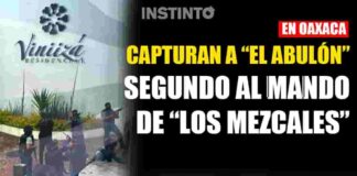 Capturan en Oaxaca a “El Abulón”, segundo al mando de “Los Mezcales”