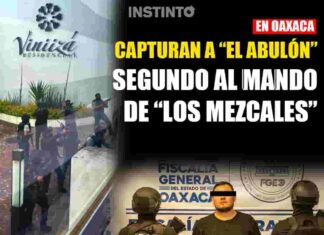 Capturan en Oaxaca a “El Abulón”, segundo al mando de “Los Mezcales”