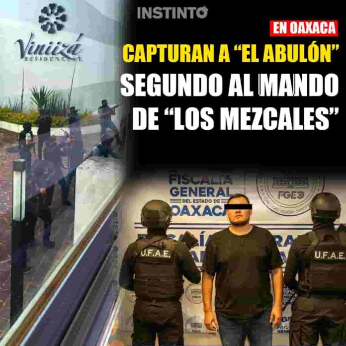 DETENIDO WEB