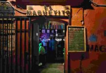 Del bar a la galería: artistas independientes toman Magueyito y acercan el arte a Oaxaca
