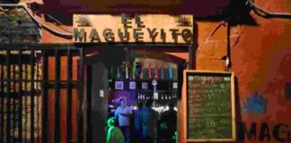 Del bar a la galería: artistas independientes toman Magueyito y acercan el arte a Oaxaca