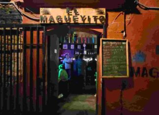 Del bar a la galería: artistas independientes toman Magueyito y acercan el arte a Oaxaca