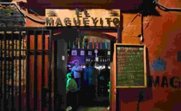 Del bar a la galería: artistas independientes toman Magueyito y acercan el arte a Oaxaca