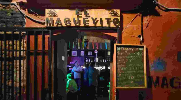Del bar a la galería: artistas independientes toman Magueyito y acercan el arte a Oaxaca