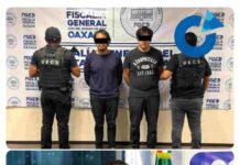 Caen dos investigados por presunto fraude de inversiones; pérdidas superarían los 100 millones de pesos