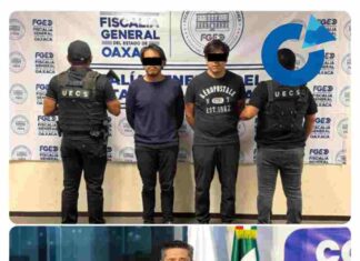 Caen dos investigados por presunto fraude de inversiones; pérdidas superarían los 100 millones de pesos