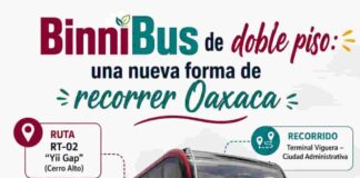 Oaxaca desde otra altura: el viaje del BinniBus de doble piso
