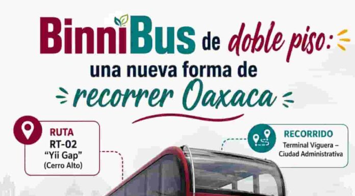 Oaxaca desde otra altura: el viaje del BinniBus de doble piso