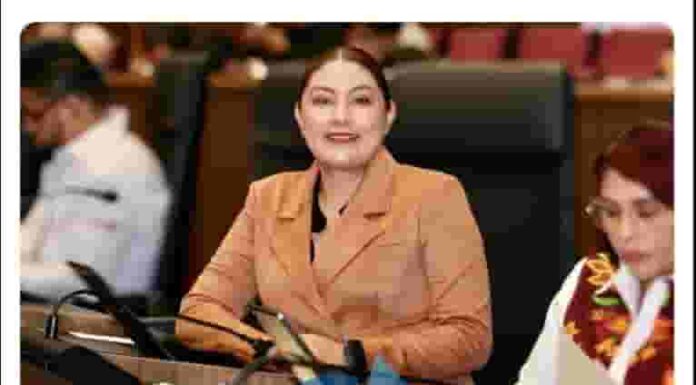 Daniela Taurino va por mayor protección para periodistas en Oaxaca