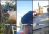 ¡Lo tiraron al suelo! Markoa confronta poda de árboles y termina en el piso en Oaxaca