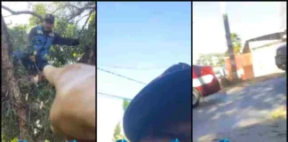 ¡Lo tiraron al suelo! Markoa confronta poda de árboles y termina en el piso en Oaxaca