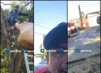 ¡Lo tiraron al suelo! Markoa confronta poda de árboles y termina en el piso en Oaxaca