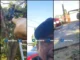 ¡Lo tiraron al suelo! Markoa confronta poda de árboles y termina en el piso en Oaxaca